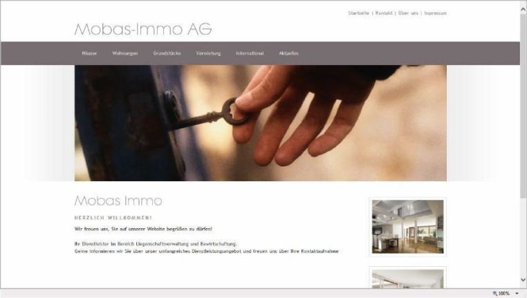 frankencom Miet Webdesign